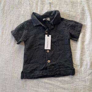 1 + in the family grey button down 9m